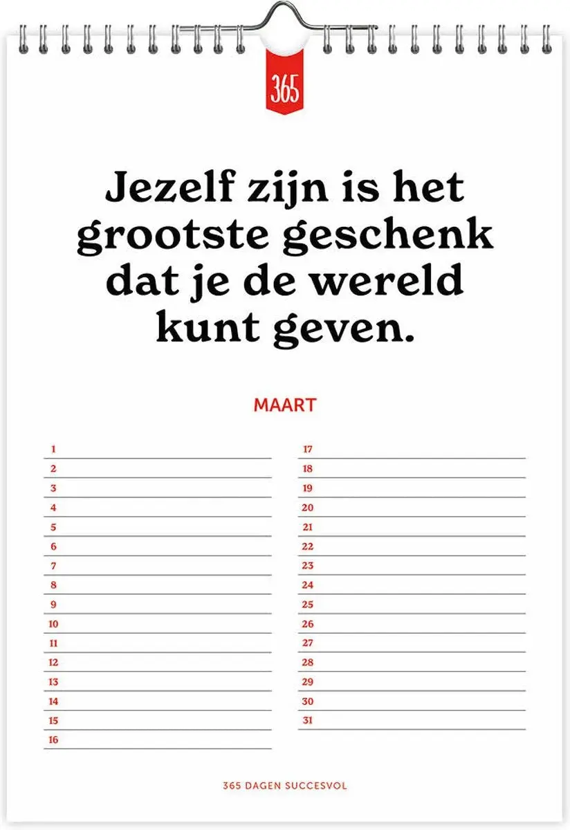 Productafbeelding 3