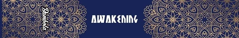 Productafbeelding 3
