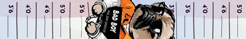 Productafbeelding 2