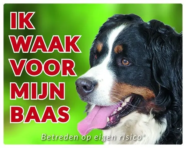 Productafbeelding 1