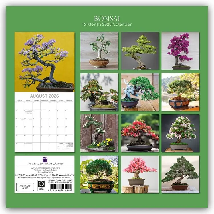 Miniatuur 2