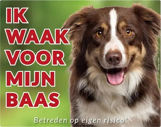 Productafbeelding 1