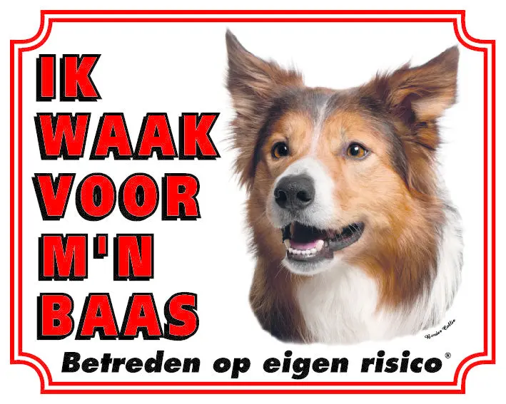 Productafbeelding 1