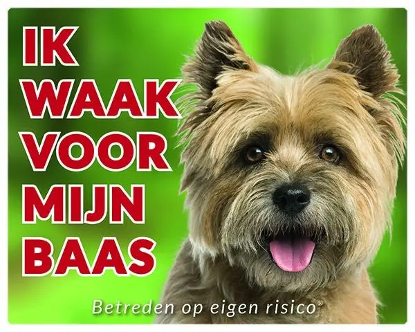 Productafbeelding 1