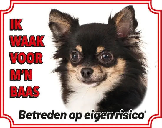Productafbeelding 1