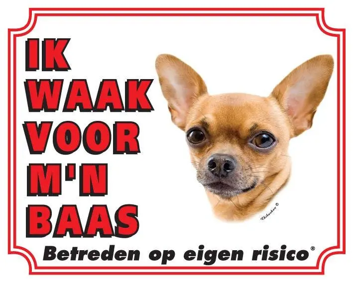 Productafbeelding 1