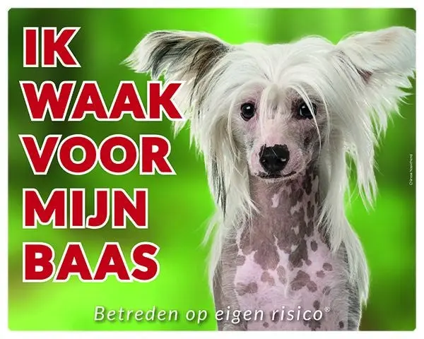 Productafbeelding 1