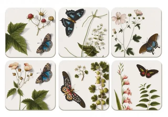 Miniatuur 2