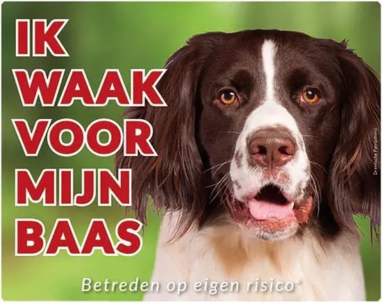 Productafbeelding 1