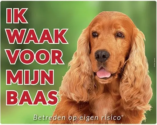 Productafbeelding 1