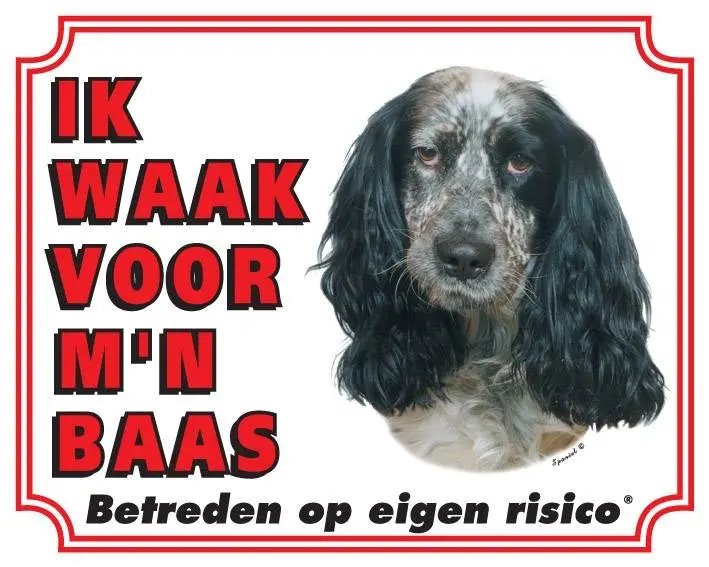 Productafbeelding 1