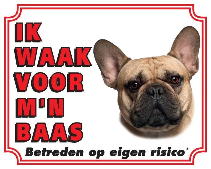 Productafbeelding 1