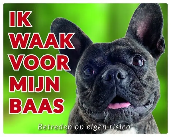 Productafbeelding 1