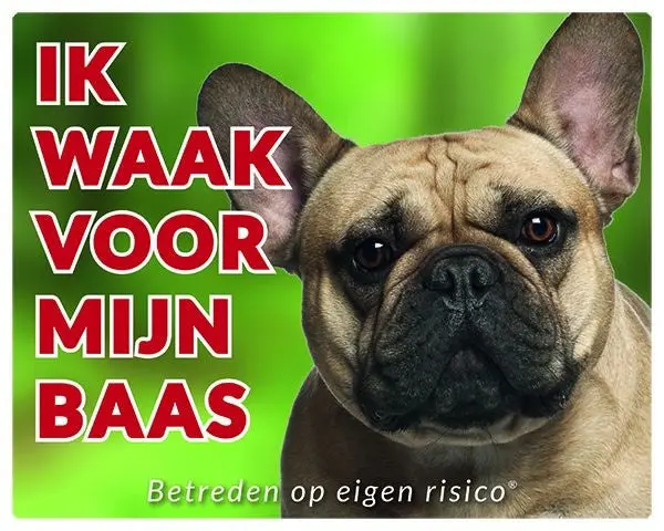 Productafbeelding 1