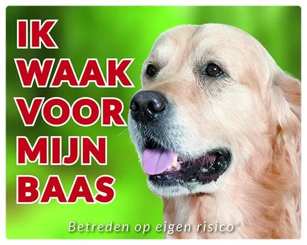 Productafbeelding 1