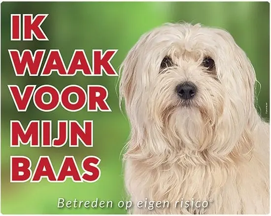 Productafbeelding 1