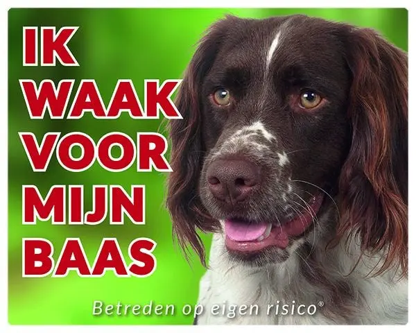 Productafbeelding 1