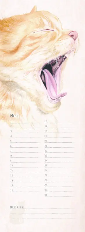 Productafbeelding 7