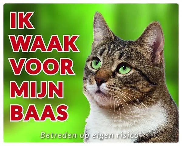 Productafbeelding 1