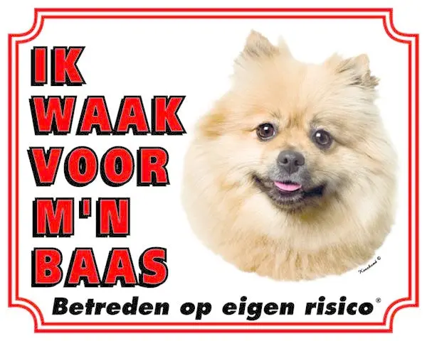 Productafbeelding 1