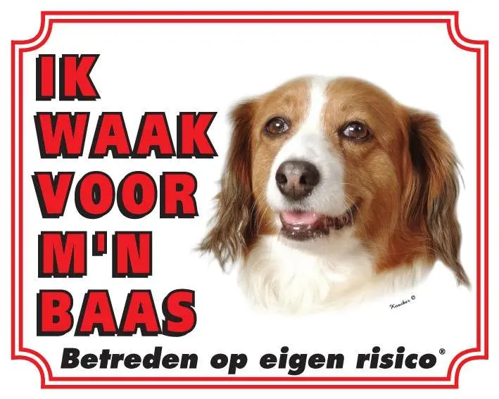 Productafbeelding 1