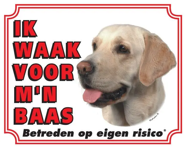 Productafbeelding 1