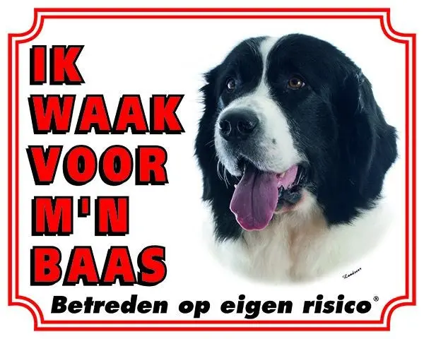 Productafbeelding 1