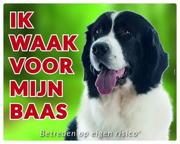 Productafbeelding 1