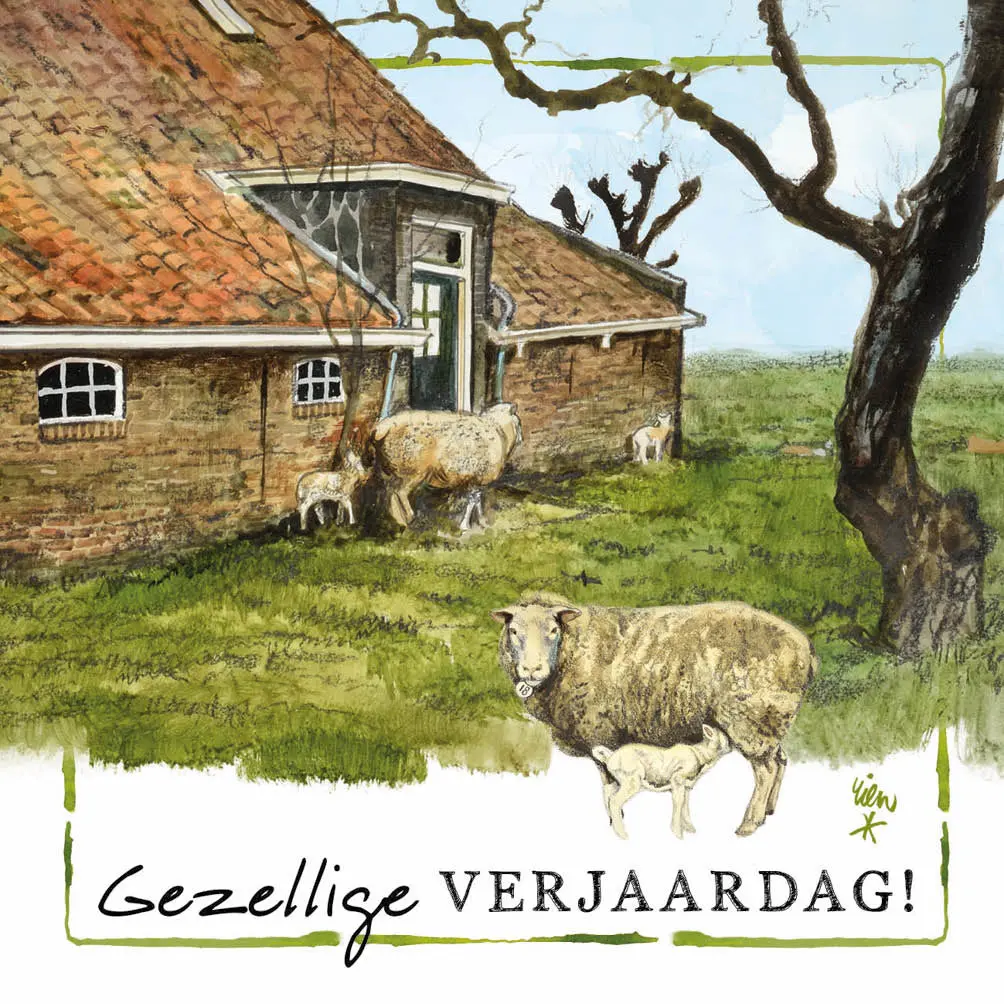 Productafbeelding 5