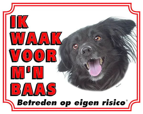 Productafbeelding 1