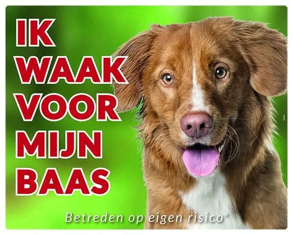 Productafbeelding 1