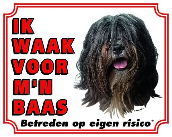 Productafbeelding 1
