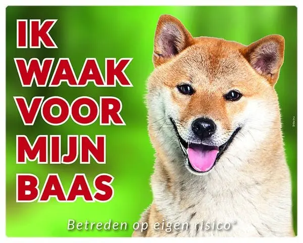 Productafbeelding 1