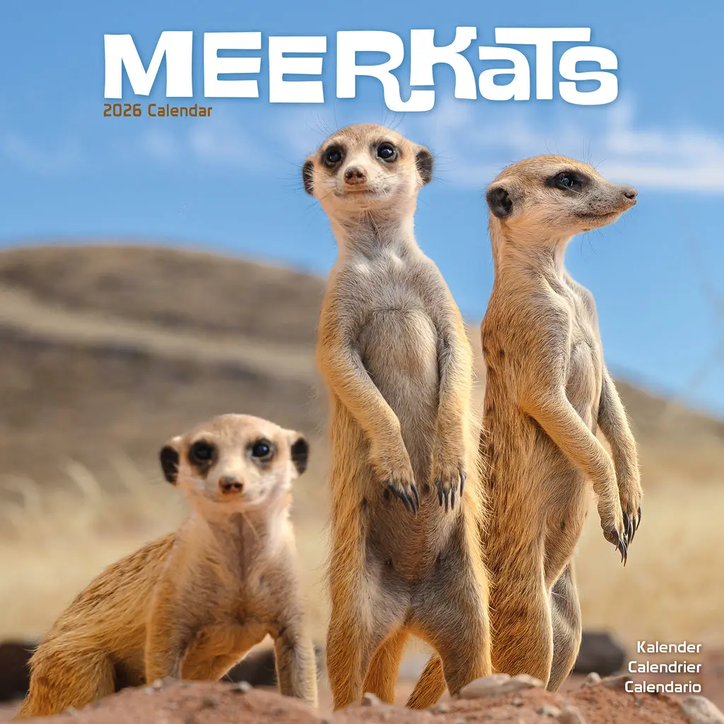 Productafbeelding 1