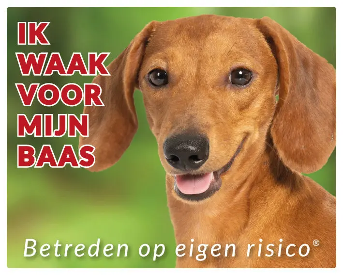 Productafbeelding 1