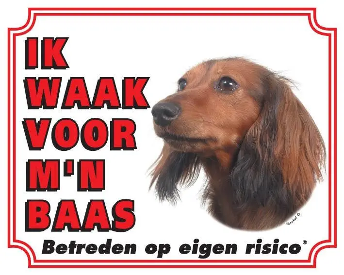 Productafbeelding 1