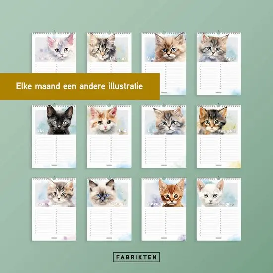 Productafbeelding 6