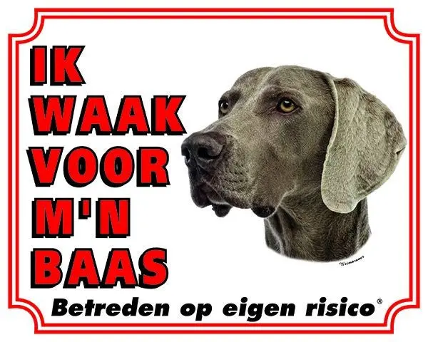 Productafbeelding 1