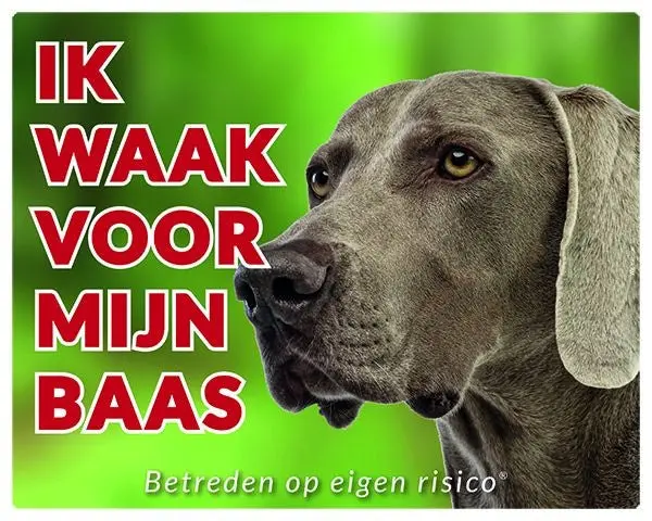 Productafbeelding 1