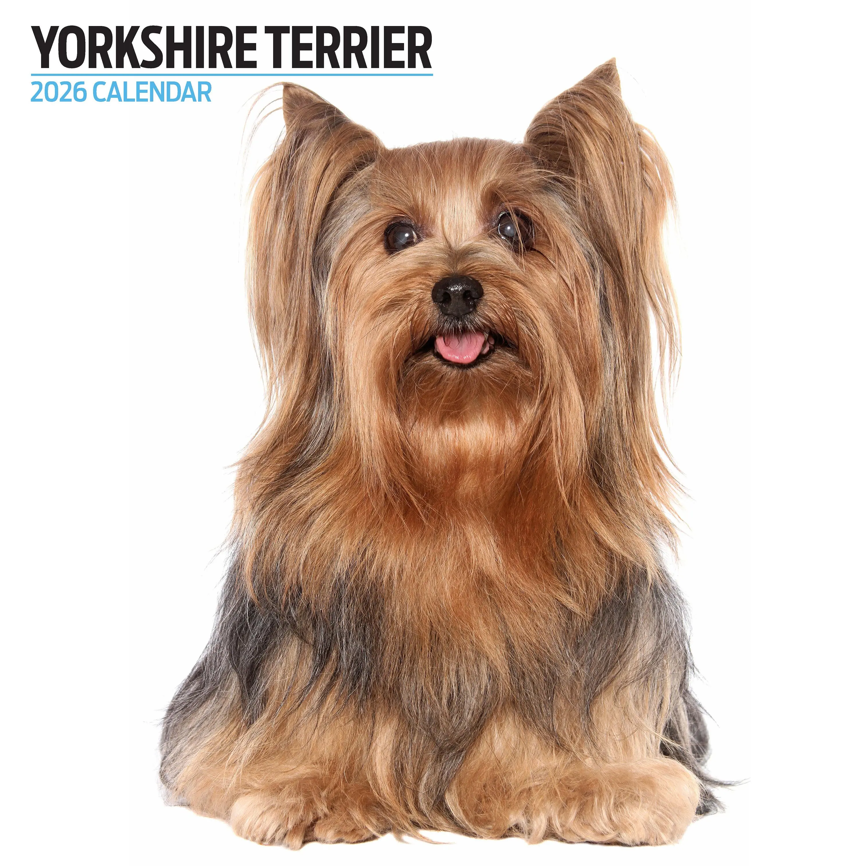 Productafbeelding 1